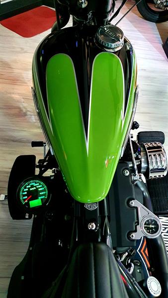 Harley-Davidson FXSTB Night Train 1450 Special Springer Green