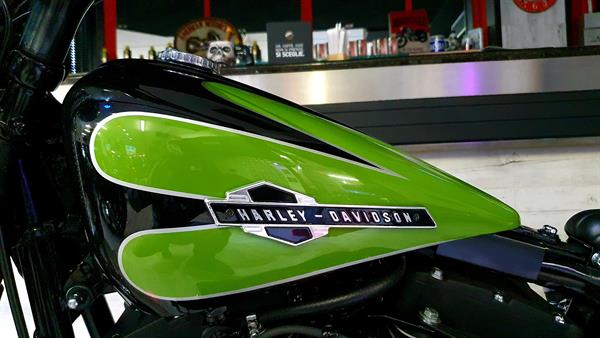 Harley-Davidson FXSTB Night Train 1450 Special Springer Green