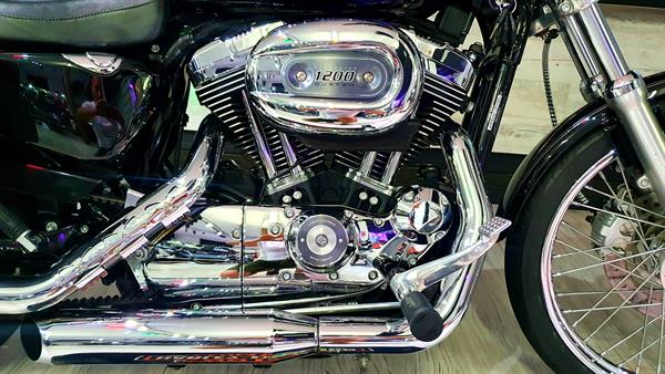 Harley-Davidson Sportster XL 1200 C Special Violet Skull