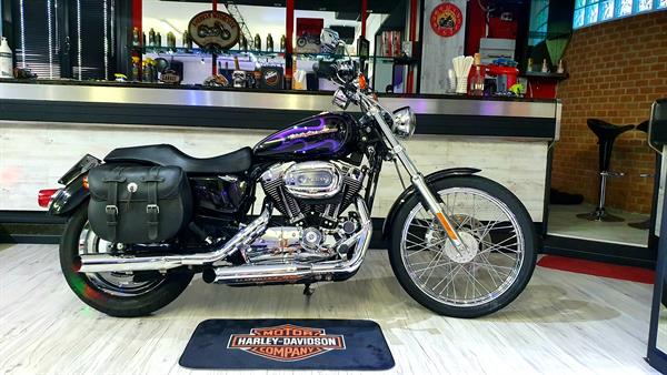 Harley-Davidson Sportster XL 1200 C Special Violet Skull