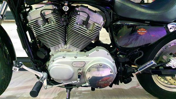 Harley-Davidson Sportster XL 883C Custom 