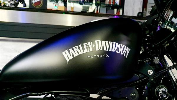 Harley-Davidson Sportster XL 883N Iron Speciale Skull