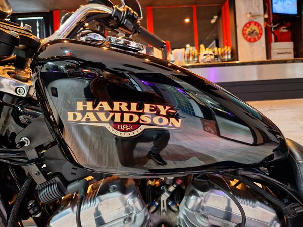 Harley-Davidson Xl 883 L 25 Kw GUIDABILE CON PATENTE A2