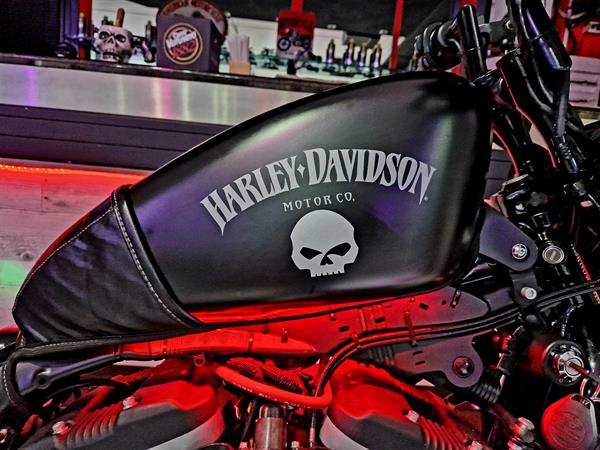 Harley-Davidson Sportster 883 Iron Special Demon 666