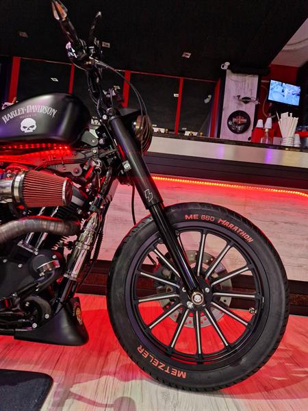 Harley-Davidson Sportster 883 Iron Special Demon 666